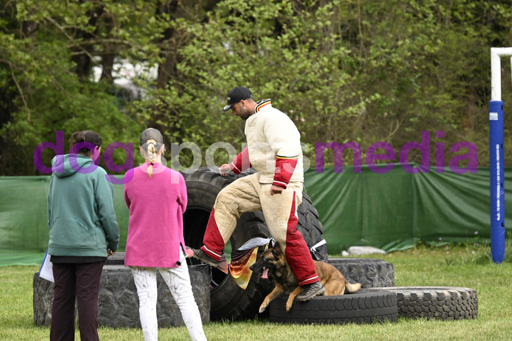 Preview _JRI_21303.jpg